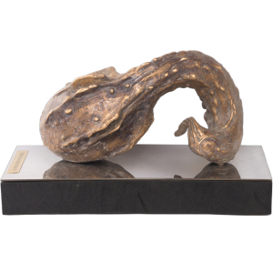 The author's bronze sculpture "Unidentified object #1"